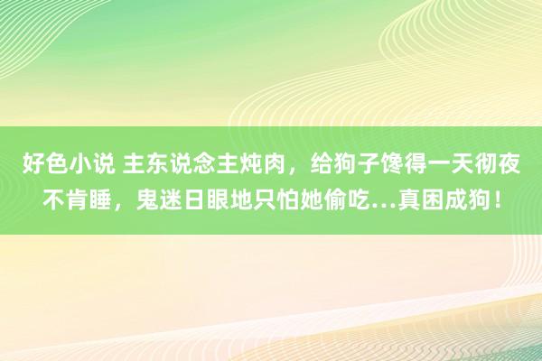 好色小说 主东说念主炖肉，给狗子馋得一天彻夜不肯睡，鬼迷日眼地只怕她偷吃…真困成狗！