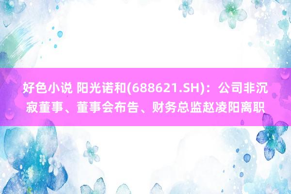 好色小说 阳光诺和(688621.SH)：公司非沉寂董事、董事会布告、财务总监赵凌阳离职