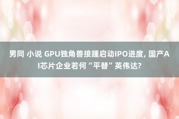 男同 小说 GPU独角兽接踵启动IPO进度， 国产AI芯片企业若何“平替”英伟达?