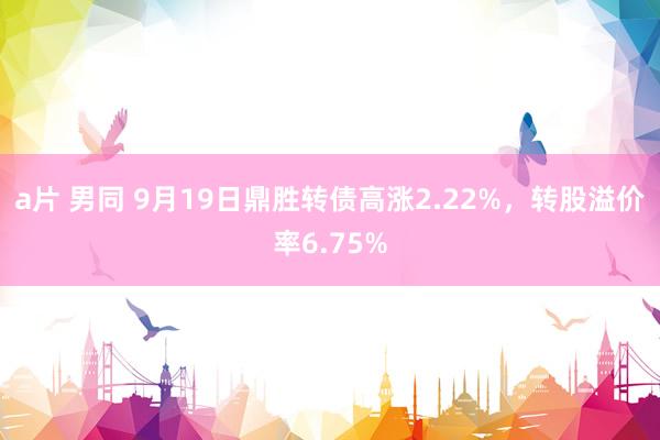 a片 男同 9月19日鼎胜转债高涨2.22%，转股溢价率6.75%