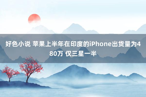 好色小说 苹果上半年在印度的iPhone出货量为480万 仅三星一半