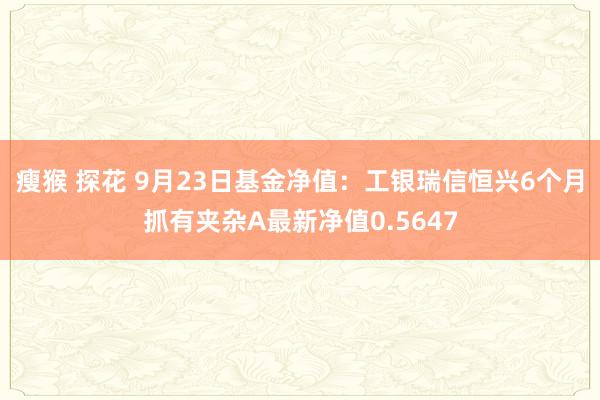 瘦猴 探花 9月23日基金净值：工银瑞信恒兴6个月抓有夹杂A最新净值0.5647