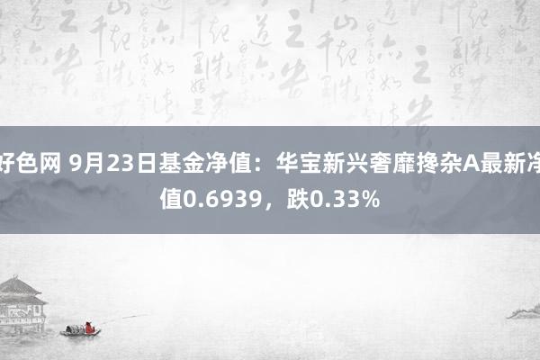 好色网 9月23日基金净值：华宝新兴奢靡搀杂A最新净值0.6939，跌0.33%