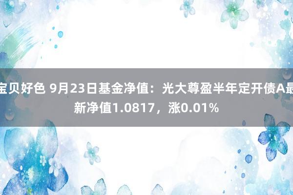 宝贝好色 9月23日基金净值：光大尊盈半年定开债A最新净值1.0817，涨0.01%