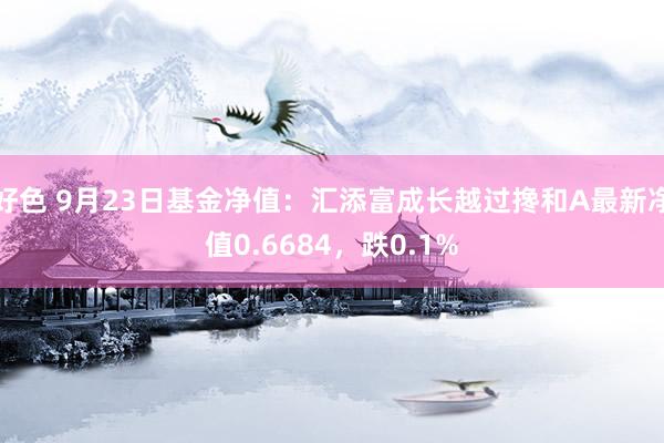 好色 9月23日基金净值：汇添富成长越过搀和A最新净值0.6684，跌0.1%