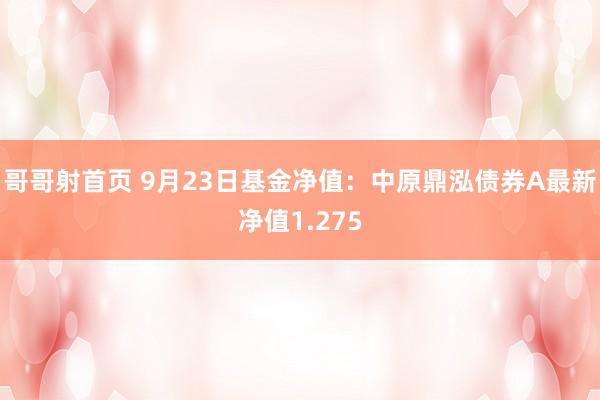 哥哥射首页 9月23日基金净值：中原鼎泓债券A最新净值1.275