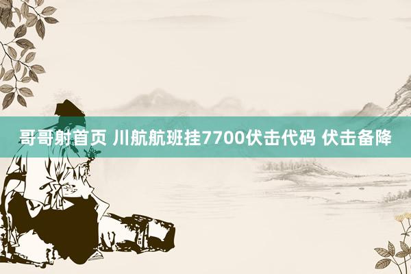 哥哥射首页 川航航班挂7700伏击代码 伏击备降