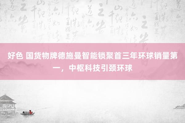 好色 国货物牌德施曼智能锁聚首三年环球销量第一，中枢科技引颈环球