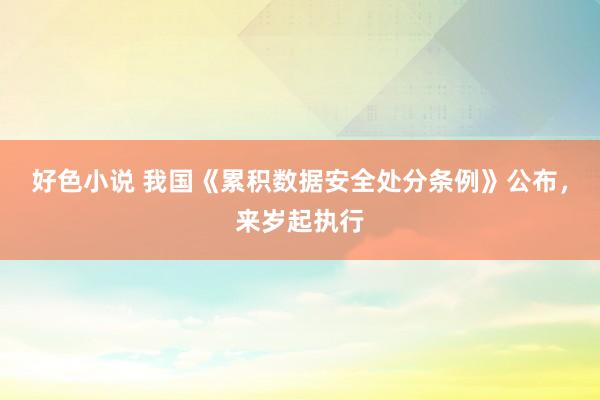 好色小说 我国《累积数据安全处分条例》公布，来岁起执行