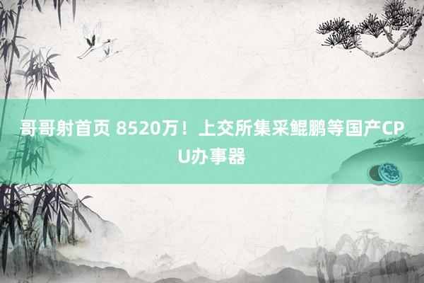 哥哥射首页 8520万！上交所集采鲲鹏等国产CPU办事器