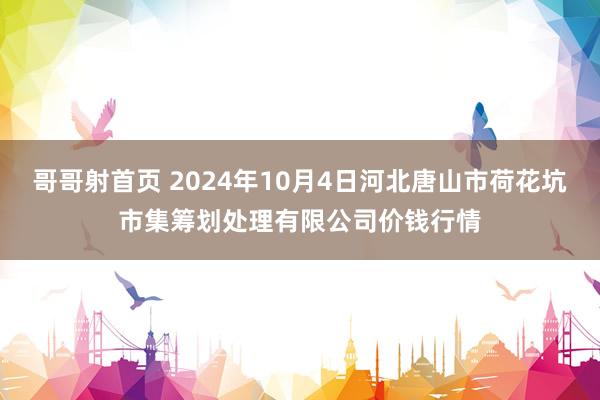 哥哥射首页 2024年10月4日河北唐山市荷花坑市集筹划处理有限公司价钱行情