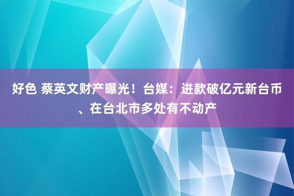 好色 蔡英文财产曝光！台媒：进款破亿元新台币、在台北市多处有不动产