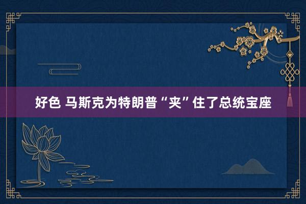 好色 马斯克为特朗普“夹”住了总统宝座