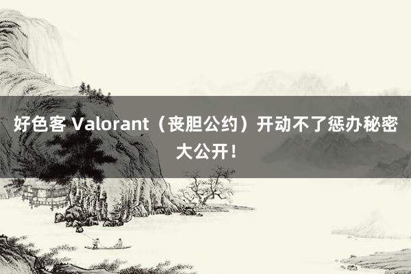 好色客 Valorant（丧胆公约）开动不了惩办秘密大公开！