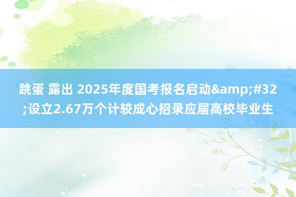 跳蛋 露出 2025年度国考报名启动&#32;设立2.67万个计较成心招录应届高校毕业生