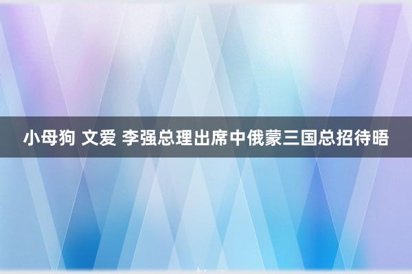 小母狗 文爱 李强总理出席中俄蒙三国总招待晤