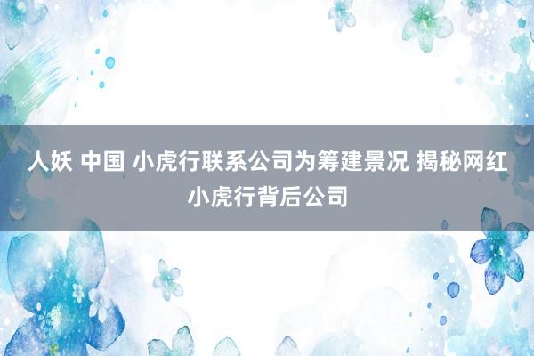 人妖 中国 小虎行联系公司为筹建景况 揭秘网红小虎行背后公司