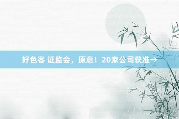 好色客 证监会，原意！20家公司获准→