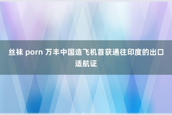 丝袜 porn 万丰中国造飞机首获通往印度的出口适航证