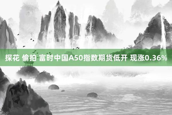 探花 偷拍 富时中国A50指数期货低开 现涨0.36%