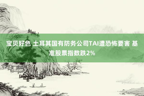 宝贝好色 土耳其国有防务公司TAI遭恐怖要害 基准股票指数跌2%