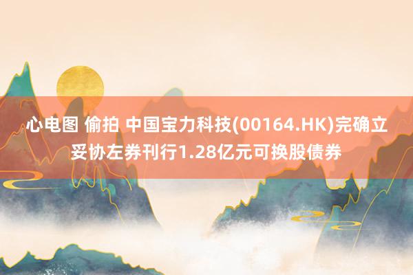 心电图 偷拍 中国宝力科技(00164.HK)完确立妥协左券刊行1.28亿元可换股债券