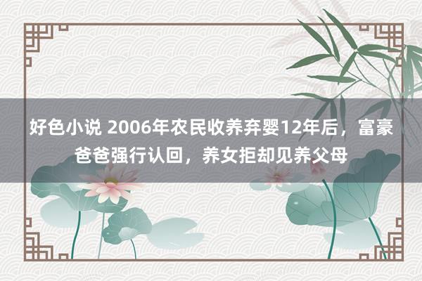 好色小说 2006年农民收养弃婴12年后，富豪爸爸强行认回，养女拒却见养父母