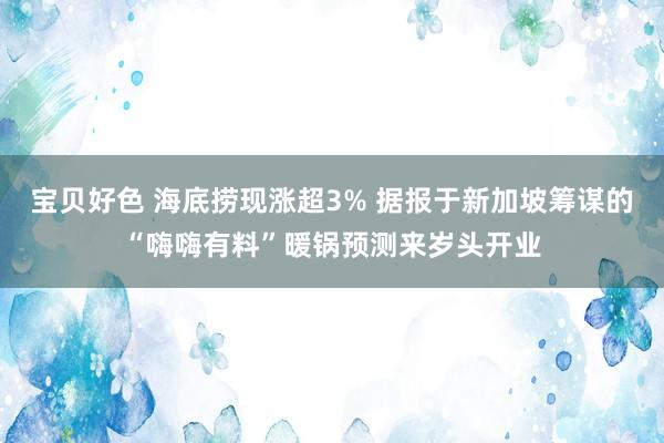 宝贝好色 海底捞现涨超3% 据报于新加坡筹谋的“嗨嗨有料”暖锅预测来岁头开业