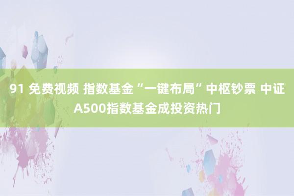 91 免费视频 指数基金“一键布局”中枢钞票 中证A500指数基金成投资热门