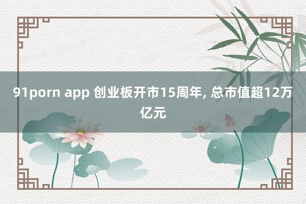 91porn app 创业板开市15周年， 总市值超12万亿元