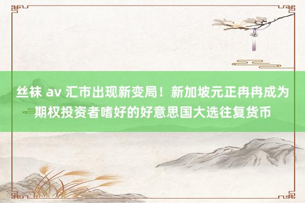 丝袜 av 汇市出现新变局！新加坡元正冉冉成为期权投资者嗜好的好意思国大选往复货币