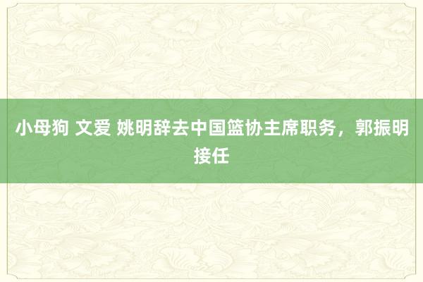 小母狗 文爱 姚明辞去中国篮协主席职务，郭振明接任