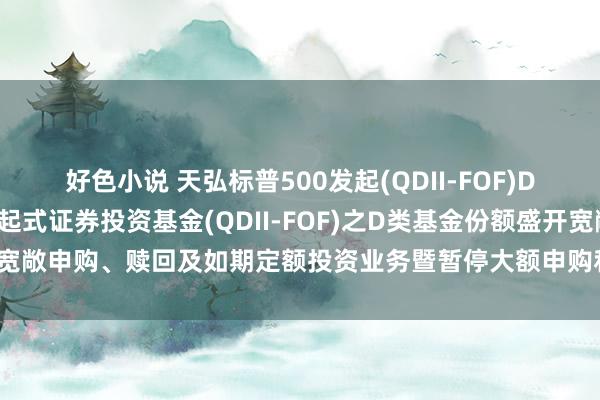 好色小说 天弘标普500发起(QDII-FOF)D: 对于天弘标普500发起式证券投资基金(QDII-FOF)之D类基金份额盛开宽敞申购、赎回及如期定额投资业务暨暂停大额申购和如期定额投资业务的公告