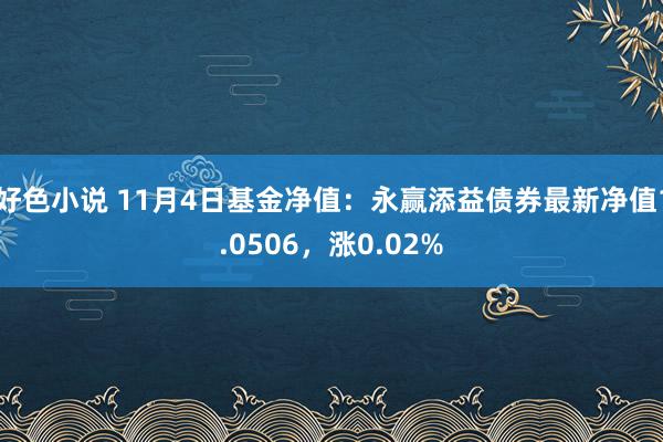 好色小说 11月4日基金净值：永赢添益债券最新净值1.0506，涨0.02%