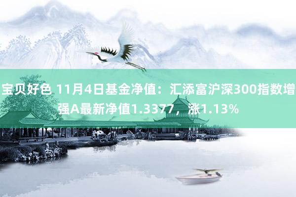 宝贝好色 11月4日基金净值：汇添富沪深300指数增强A最新净值1.3377，涨1.13%