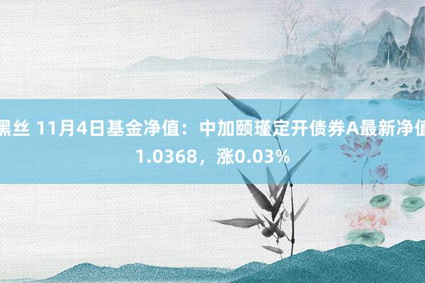 黑丝 11月4日基金净值：中加颐瑾定开债券A最新净值1.0368，涨0.03%