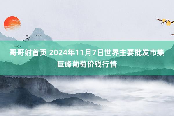 哥哥射首页 2024年11月7日世界主要批发市集巨峰葡萄价钱行情