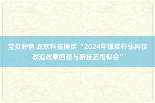 宝贝好色 龙软科技插足 “2024年煤炭行业科技改造效果回想与新技艺相似会”