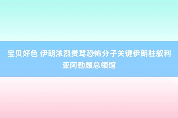 宝贝好色 伊朗浓烈责骂恐怖分子关键伊朗驻叙利亚阿勒颇总领馆