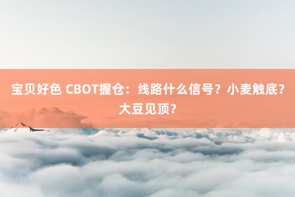 宝贝好色 CBOT握仓：线路什么信号？小麦触底？大豆见顶？