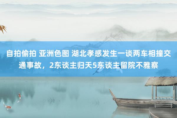 自拍偷拍 亚洲色图 湖北孝感发生一谈两车相撞交通事故，2东谈主归天5东谈主留院不雅察