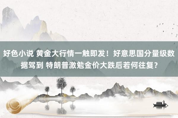 好色小说 黄金大行情一触即发！好意思国分量级数据驾到 特朗普激勉金价大跌后若何往复？