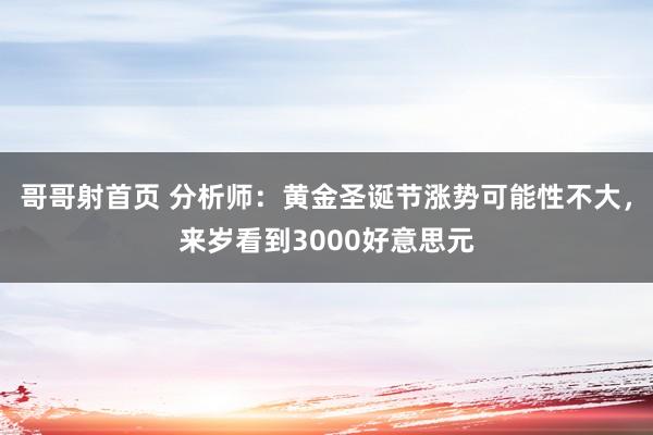 哥哥射首页 分析师：黄金圣诞节涨势可能性不大，来岁看到3000好意思元