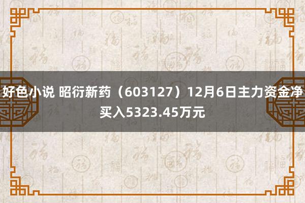 好色小说 昭衍新药（603127）12月6日主力资金净买入5323.45万元