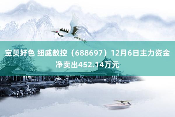 宝贝好色 纽威数控（688697）12月6日主力资金净卖出452.14万元