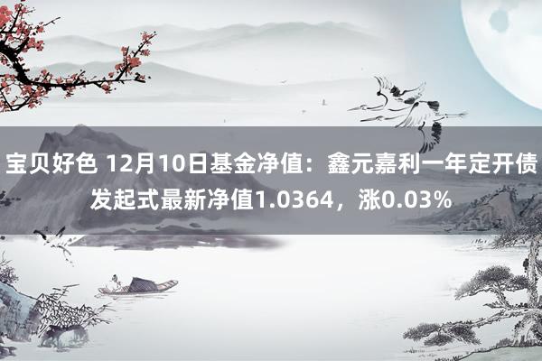 宝贝好色 12月10日基金净值：鑫元嘉利一年定开债发起式最新净值1.0364，涨0.03%