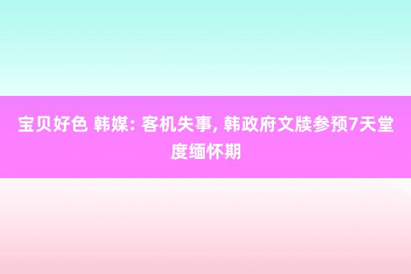 宝贝好色 韩媒: 客机失事， 韩政府文牍参预7天堂度缅怀期