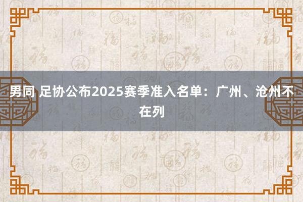 男同 足协公布2025赛季准入名单：广州、沧州不在列