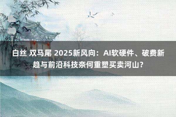 白丝 双马尾 2025新风向：AI软硬件、破费新趋与前沿科技奈何重塑买卖河山？