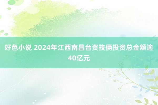 好色小说 2024年江西南昌台资技俩投资总金额逾40亿元